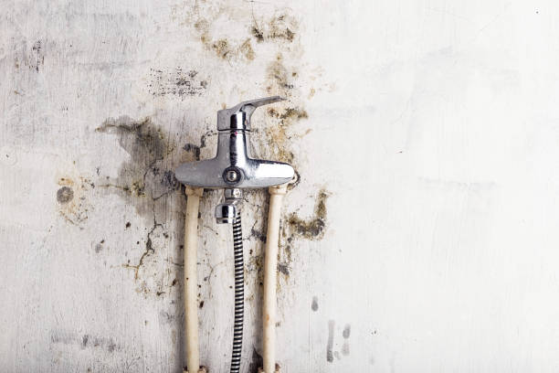 Best Residential Mold Removal  in Keuka Park, NY