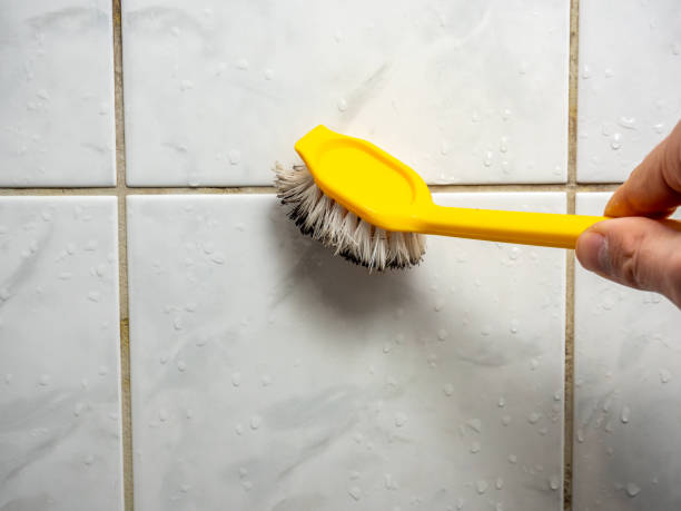 Best Home Mold Removal  in Keuka Park, NY