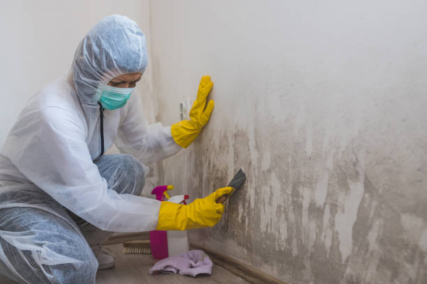 Best Mold Testing  in Keuka Park, NY