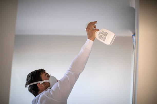 Best Affordable Mold Removal  in Keuka Park, NY