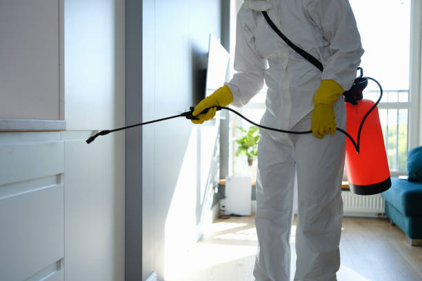 Best Mold Testing  in Keuka Park, NY