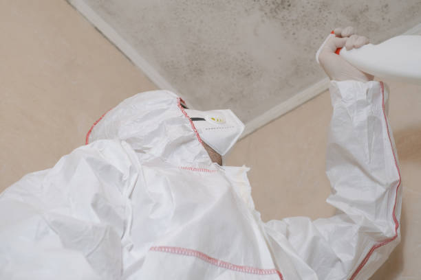 Best Certified Mold Removal  in Keuka Park, NY