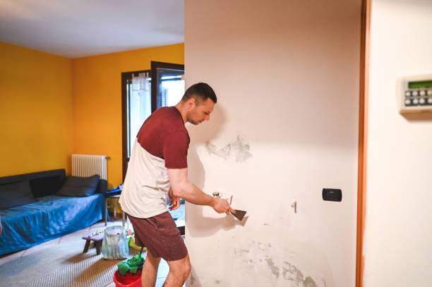 Best Crawl Space Mold Removal  in Keuka Park, NY