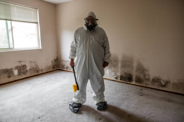 Best Toxic Mold Removal  in Keuka Park, NY